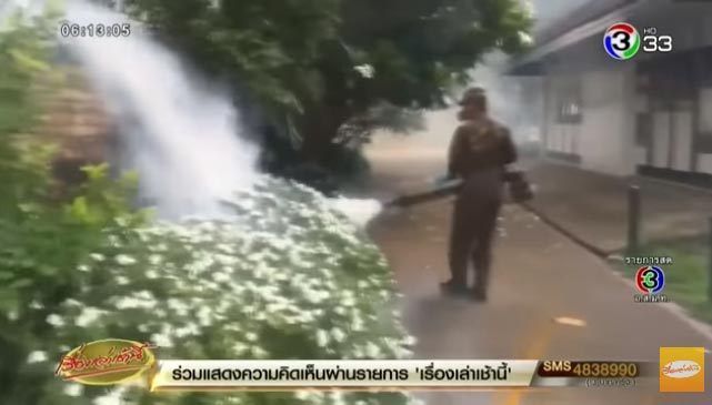 ไข้เลือดออก ไข้เลือดออก