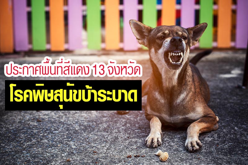 โรคพิษสุนัขบ้า โรคพิษสุนัขบ้า