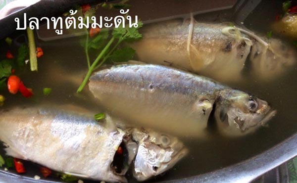 ร้านอาหารสมุทรสงคราม ร้านอาหารสมุทรสงคราม
