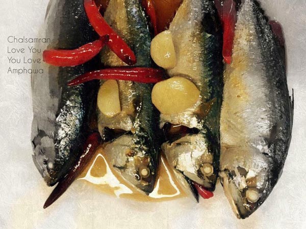 ร้านอาหารสมุทรสงคราม ร้านอาหารสมุทรสงคราม