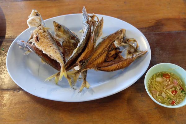 ร้านอาหารสมุทรสงคราม ร้านอาหารสมุทรสงคราม