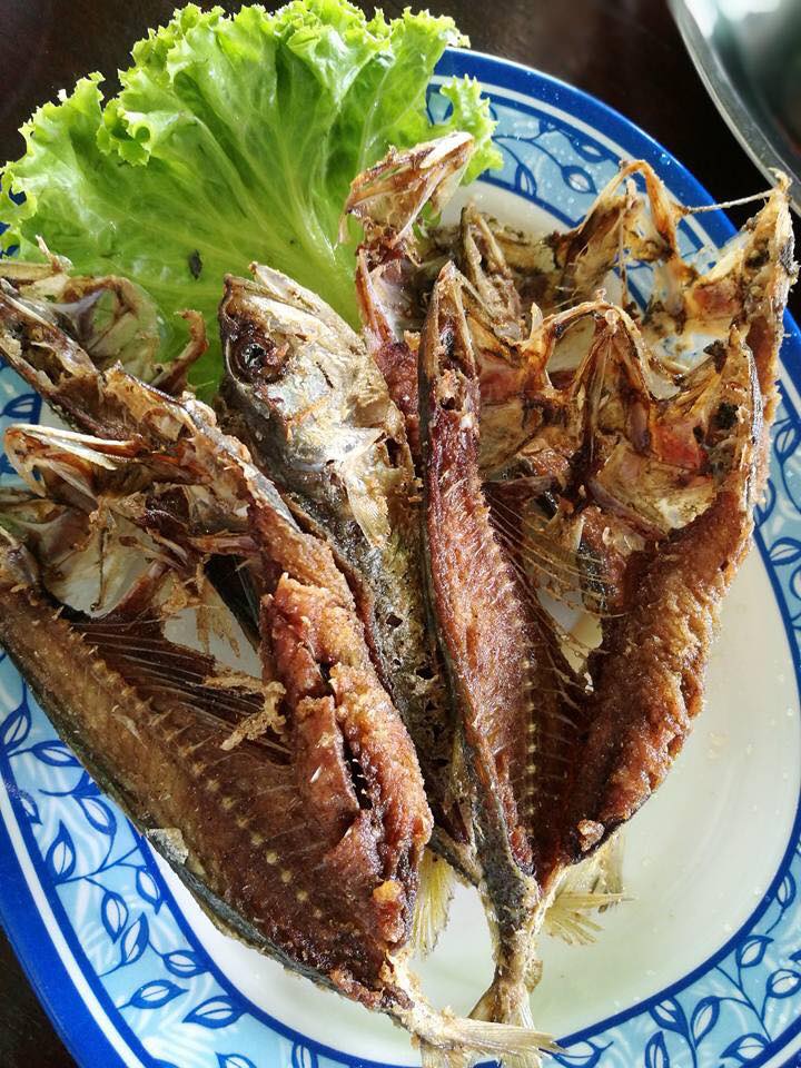 ร้านอาหารสมุทรสงคราม ร้านอาหารสมุทรสงคราม