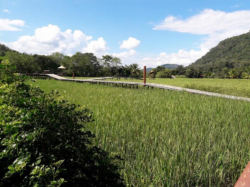 ที่เที่ยวเดือนกรกฎาคม ที่เที่ยวเดือนกรกฎาคม