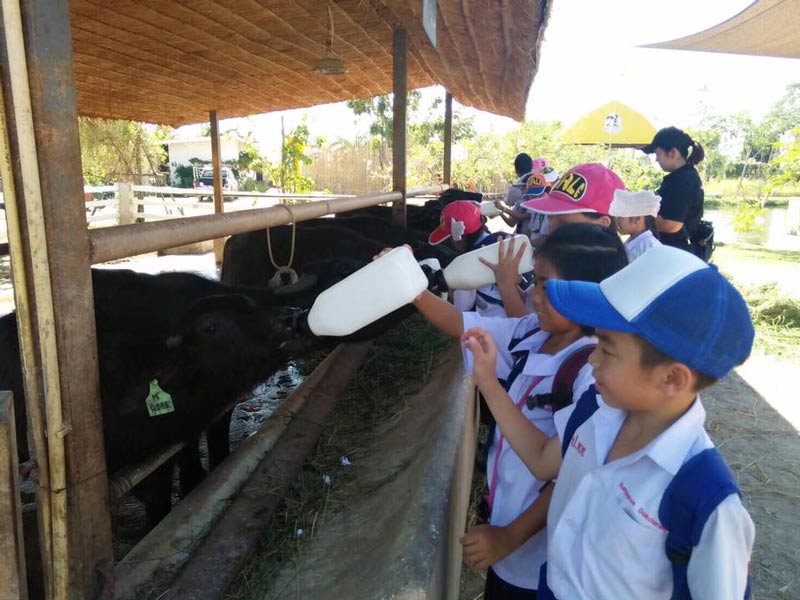 พาลูกเที่ยว มินิ มูร่าห์ ฟาร์ม จังหวัดฉะเชิงเทรา