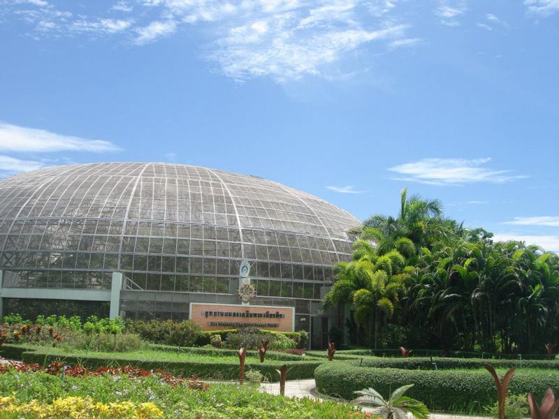 พาลูกเที่ยว อุทยานแมลงเฉลิมพระเกียรติ จังหวัดนครปฐม