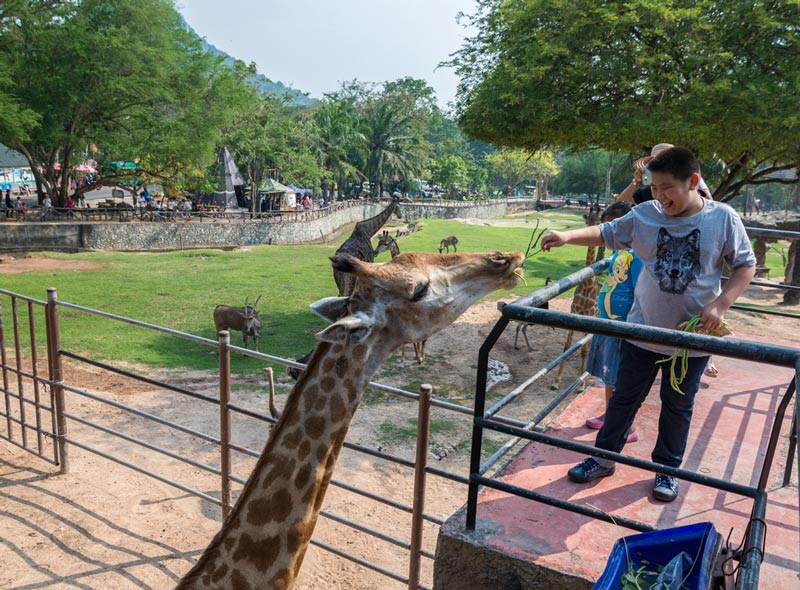 พาลูกเที่ยว สวนสัตว์เปิดเขาเขียว จังหวัดชลบุรี