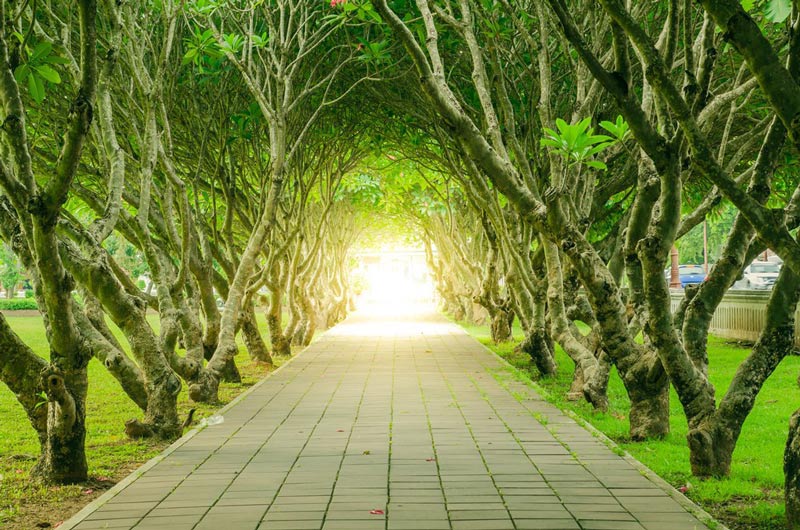 ที่เที่ยวน่าน พิพิธภัณฑสถานแห่งชาติ น่าน