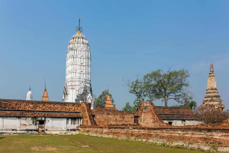 ตามรอยสายโลหิต ตามรอยสายโลหิต