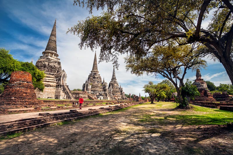 ตามรอยสายโลหิต ตามรอยสายโลหิต