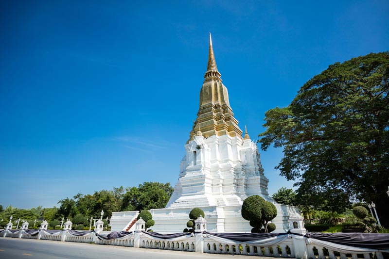 ตามรอยสายโลหิต ตามรอยสายโลหิต