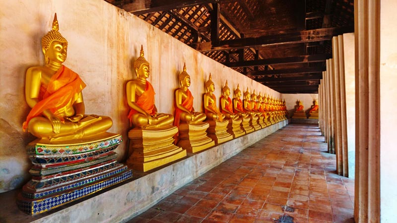 ตามรอยสายโลหิต ตามรอยสายโลหิต