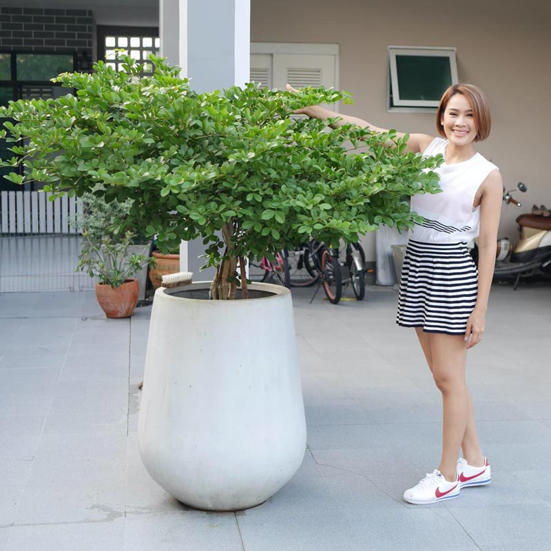 หนูเล็ก ก่อนบ่าย หนูเล็ก ก่อนบ่าย