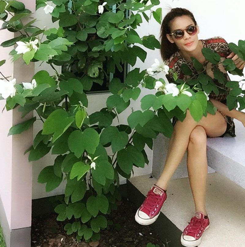 หนูเล็ก ก่อนบ่าย หนูเล็ก ก่อนบ่าย