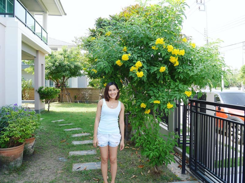 หนูเล็ก ก่อนบ่าย หนูเล็ก ก่อนบ่าย