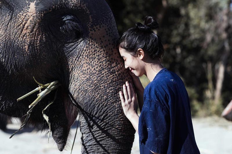 มิ้นต์ ชาลิดา มิ้นต์ ชาลิดา