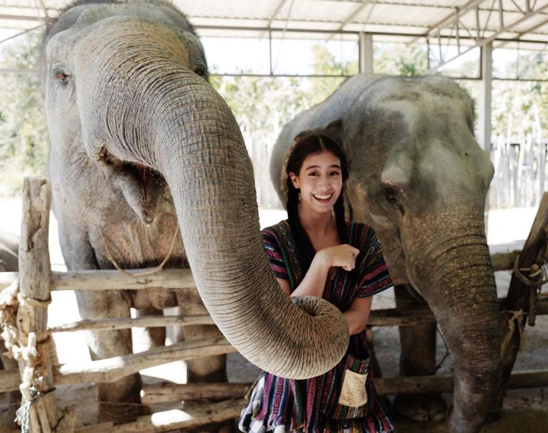 มิ้นต์ ชาลิดา มิ้นต์ ชาลิดา