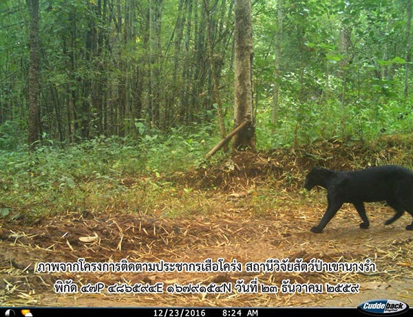 สุเมธ องอาจ สุเมธ องอาจ