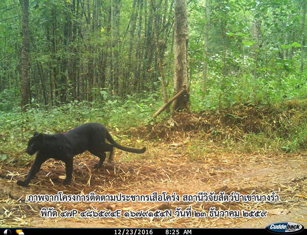 สุเมธ องอาจ สุเมธ องอาจ