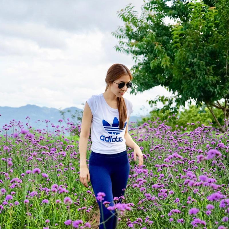 วุ้นเส้น ไฮโซณัย วุ้นเส้น ไฮโซณัย