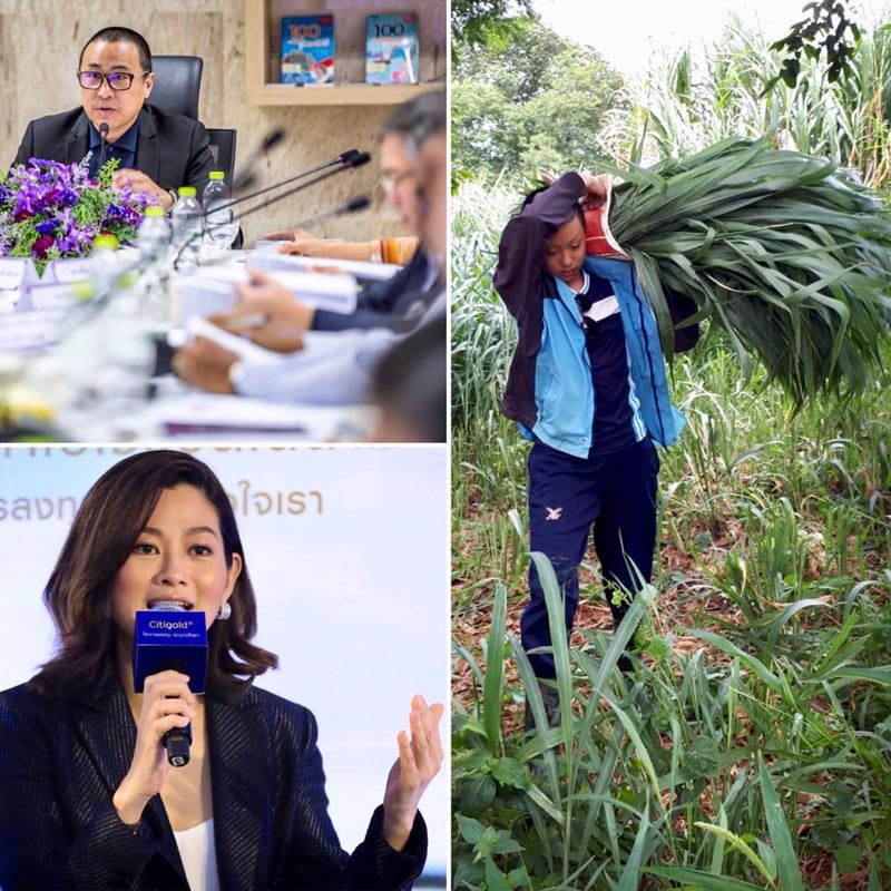 น้องปราบ ลูก สู่ขวัญ บูลกุล น้องปราบ ลูก สู่ขวัญ บูลกุล