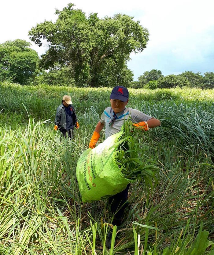 น้องปราบ ลูก สู่ขวัญ บูลกุล น้องปราบ ลูก สู่ขวัญ บูลกุล