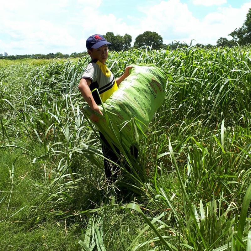 น้องปราบ ลูก สู่ขวัญ บูลกุล น้องปราบ ลูก สู่ขวัญ บูลกุล