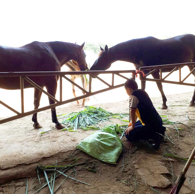น้องปราบ ลูก สู่ขวัญ บูลกุล น้องปราบ ลูก สู่ขวัญ บูลกุล