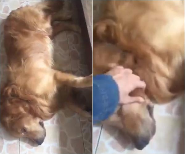 โป๊ป ธนวรรธน์ โป๊ป ธนวรรธน์