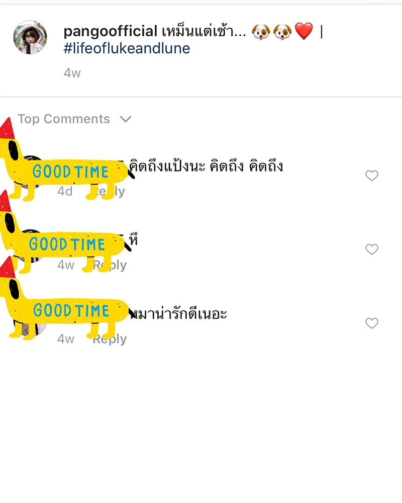 แป้งโกะ จินตนัดดา แป้งโกะ จินตนัดดา