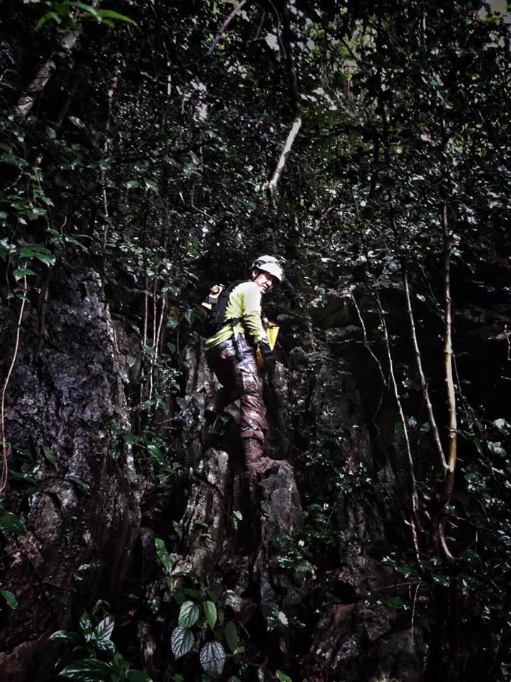 ฝันดี ฝันเด่น ฝันดี ฝันเด่น