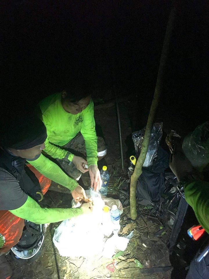 ฝันดี ฝันเด่น ฝันดี ฝันเด่น