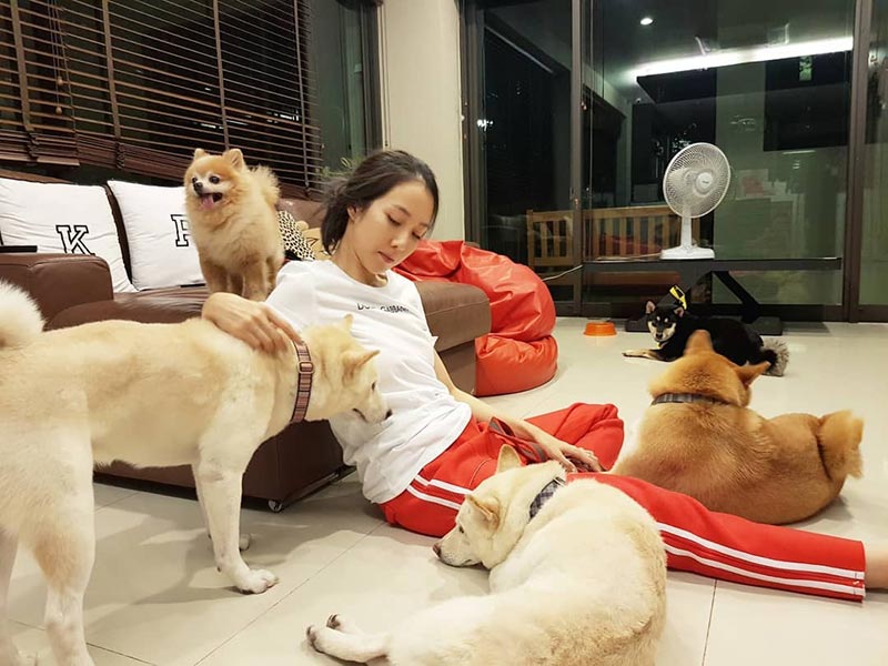 หมา กันต์ กันตถาวร โดนพิทบูลกัด หมา กันต์ กันตถาวร โดนพิทบูลกัด