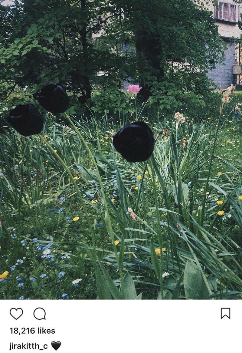 วีเจจ๋า เมฆ วีเจจ๋า เมฆ