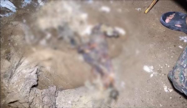 ทารุณหมา ทารุณหมา