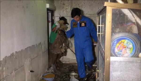 ทารุณหมา ทารุณหมา