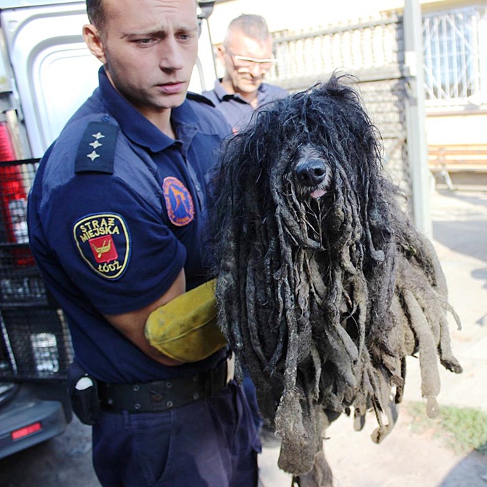 ตูบถูกจับพลิกโฉม ตูบถูกจับพลิกโฉม