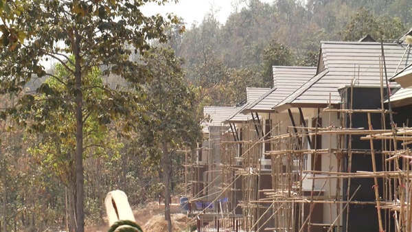 บุกรุกป่า บุกรุกป่า