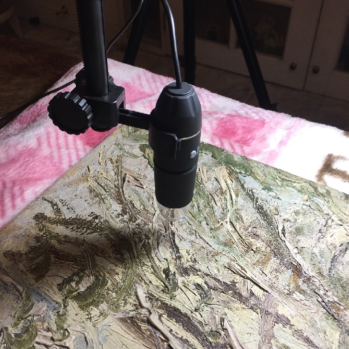 ภาพแวนโก๊ะ ภาพแวนโก๊ะ