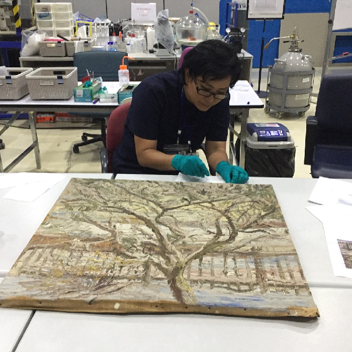 ภาพแวนโก๊ะ ภาพแวนโก๊ะ