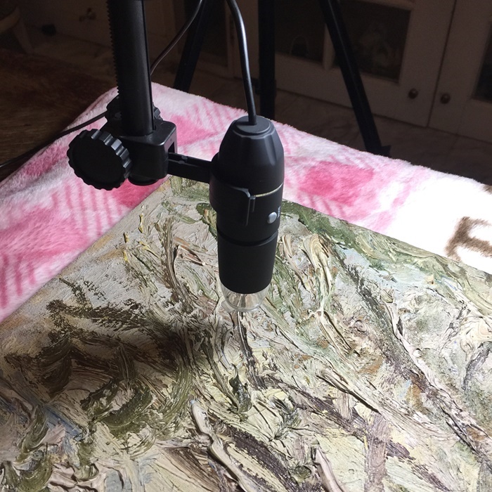 ภาพแวนโก๊ะ ภาพแวนโก๊ะ