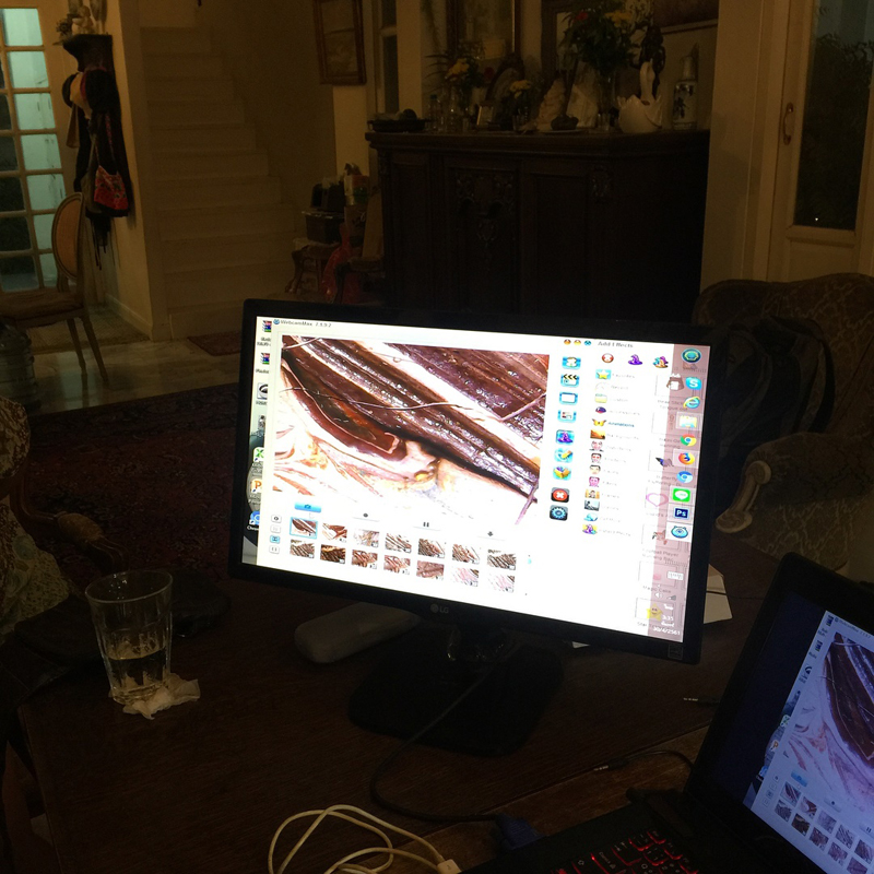 ภาพแวนโก๊ะ ภาพแวนโก๊ะ