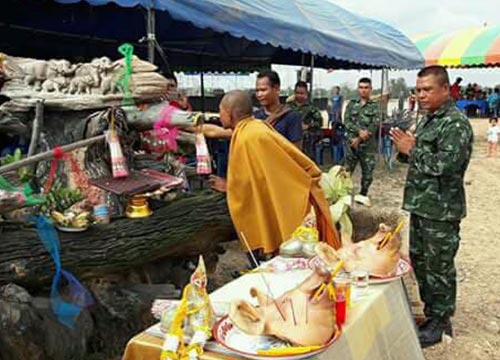 ต้นตะเคียนทองยักษ์ ต้นตะเคียนทองยักษ์