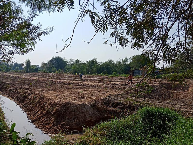 เชษฐ์ สไมล์บัฟฟาโล เชษฐ์ สไมล์บัฟฟาโล