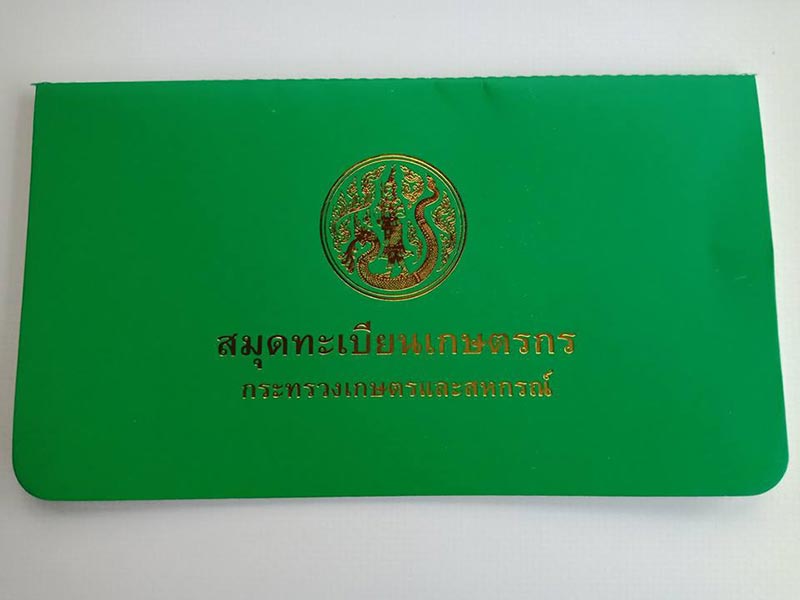 เชษฐ์ สไมล์บัฟฟาโล เชษฐ์ สไมล์บัฟฟาโล