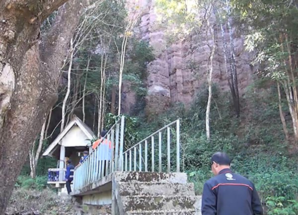 เจดีย์ดินต้นไม้ เจดีย์ดินต้นไม้