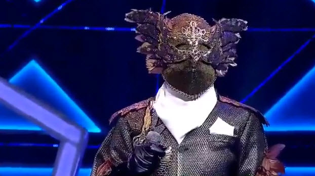 The Mask Singer The Mask Singer