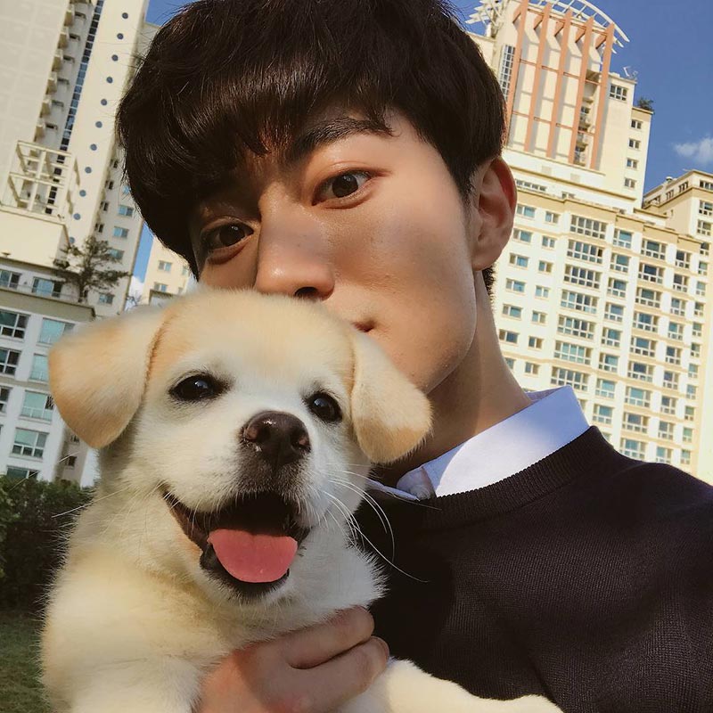 ช่วยเหลือหมา ช่วยเหลือหมา