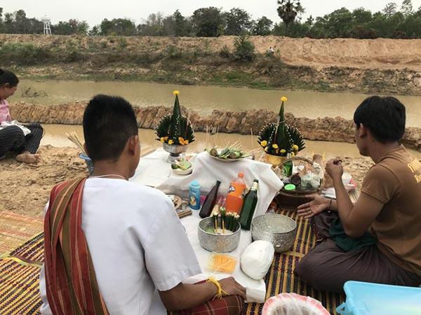 ต้นตะเคียนทองยักษ์ ต้นตะเคียนทองยักษ์