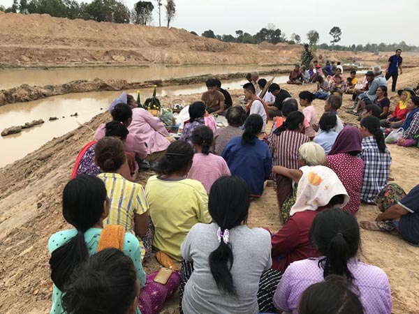 ต้นตะเคียนทองยักษ์ ต้นตะเคียนทองยักษ์