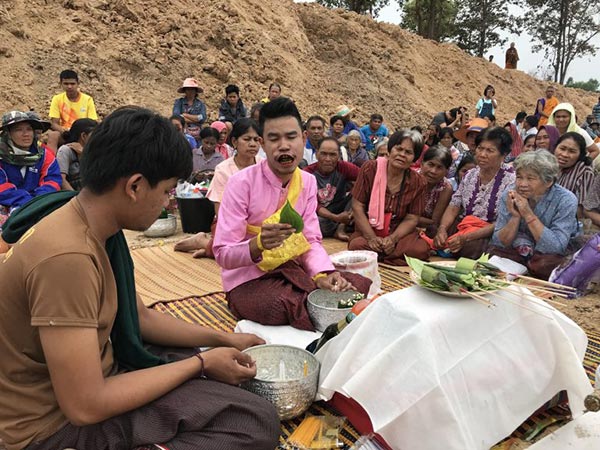 ต้นตะเคียนทองยักษ์ ต้นตะเคียนทองยักษ์